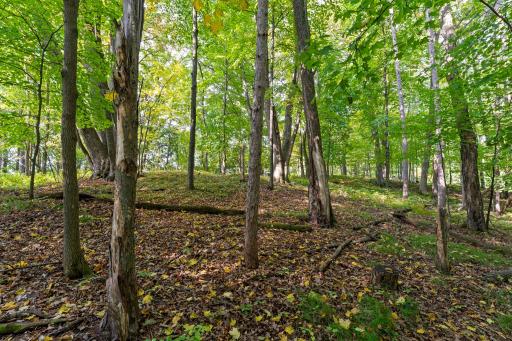 2603 Jeffery Boulevard, Cumberland, WI 54829