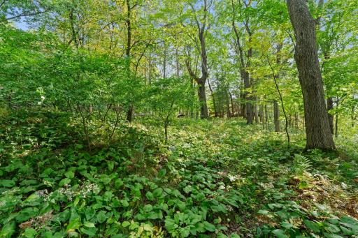 2603 Jeffery Boulevard, Cumberland, WI 54829