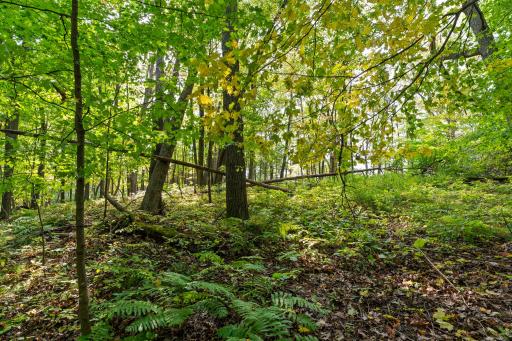2603 Jeffery Boulevard, Cumberland, WI 54829
