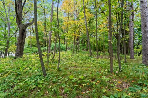 2603 Jeffery Boulevard, Cumberland, WI 54829