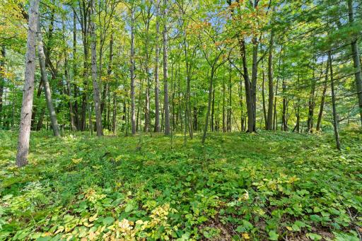 2603 Jeffery Boulevard, Cumberland, WI 54829