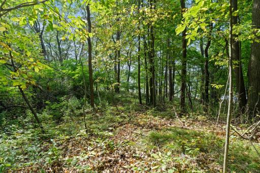2603 Jeffery Boulevard, Cumberland, WI 54829