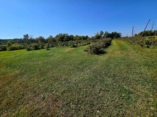 16385 310th Street, Center City, MN 55012