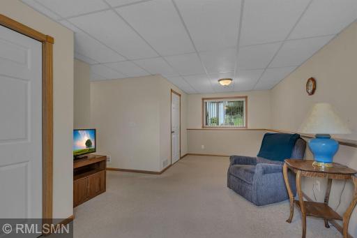 lower level family room