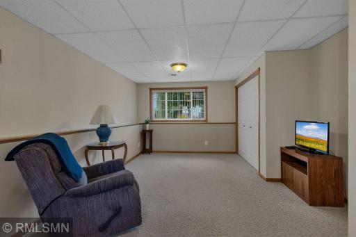 lower level family room