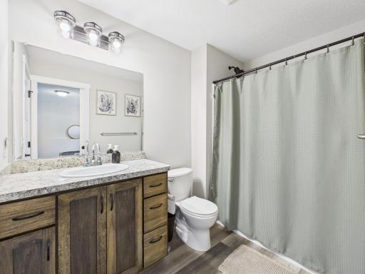 Lower level bathroom