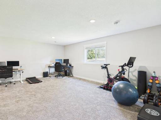 Lower level family room