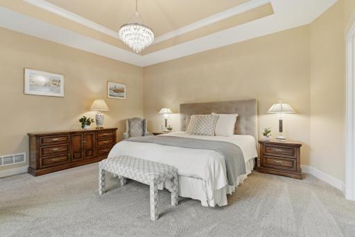 Main floor primary bedroom with tray vault ceiling