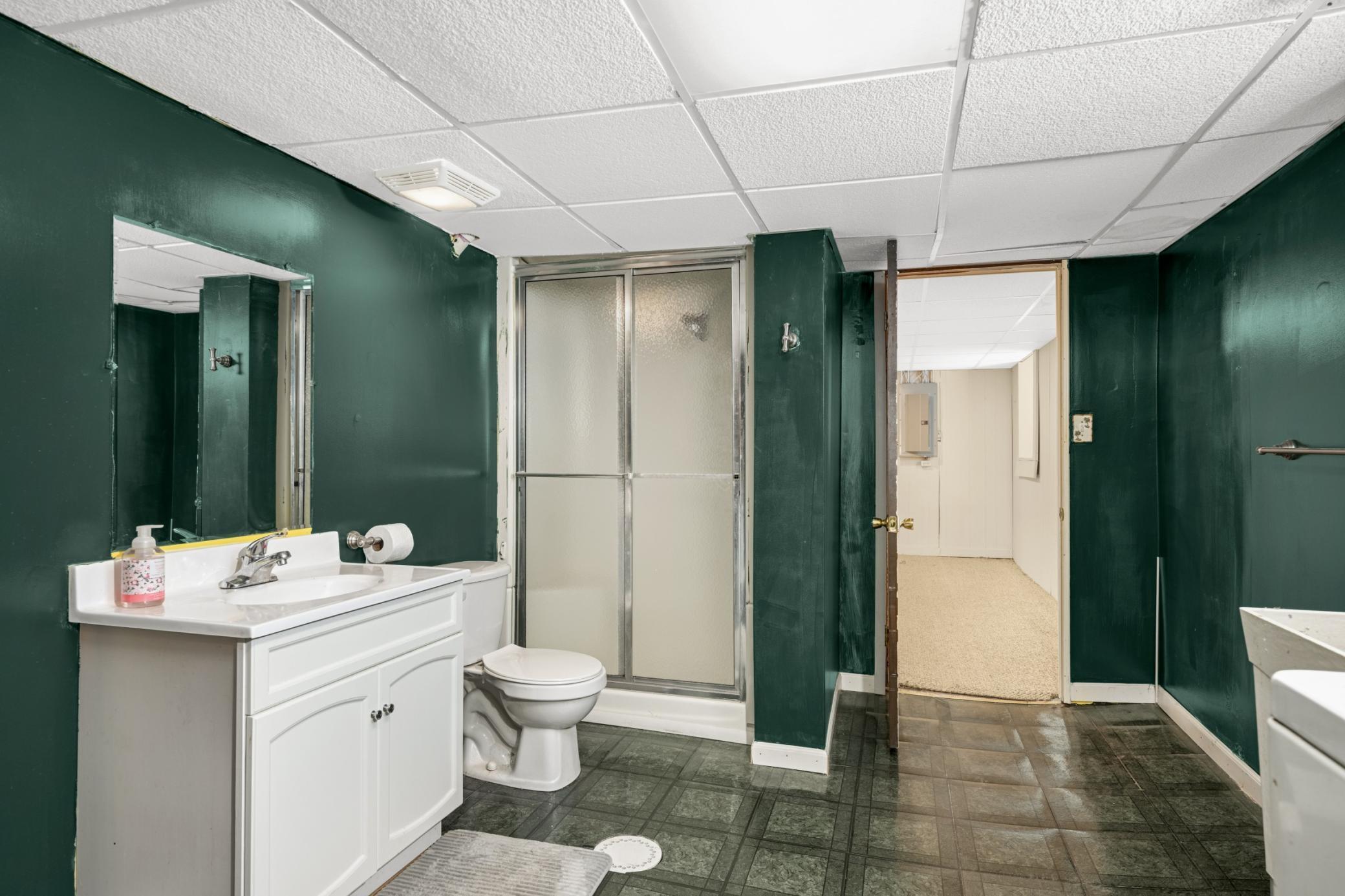 Vanity, sink, step-in shower, and laundry area