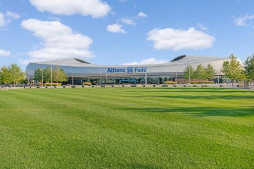 Go cheer on the Loons!