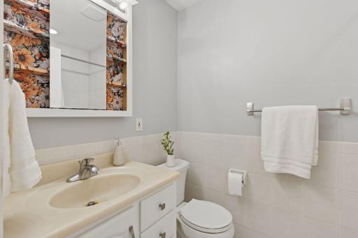 Main Floor FULL Bathroom (tub/shower not shown - image in mirror)