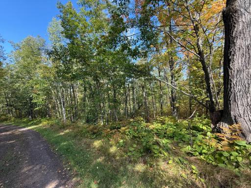 13407 193, Mc Grath, MN 56350