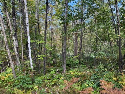 13407 193, Mc Grath, MN 56350