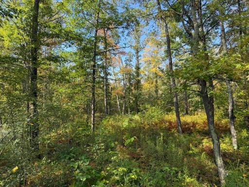 13407 193, Mc Grath, MN 56350