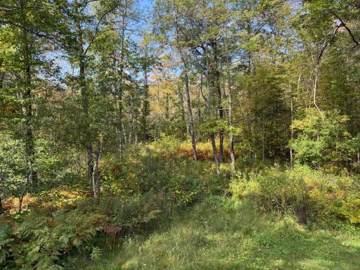 13407 193, Mc Grath, MN 56350