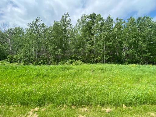 TBD Division Street W, Bemidji, MN 56601