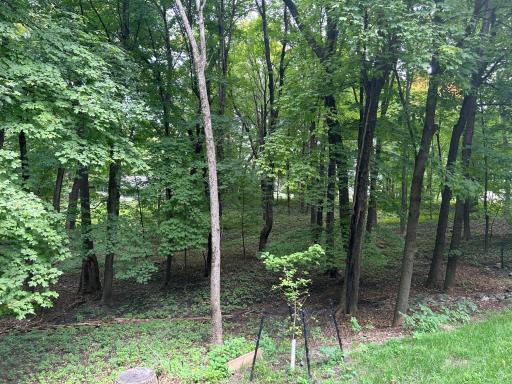 1426 Holdridge Circle, Wayzata, MN 55391