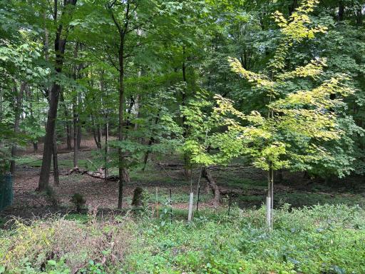 1426 Holdridge Circle, Wayzata, MN 55391