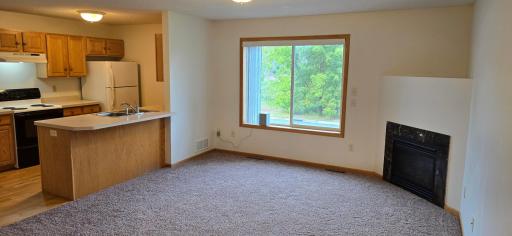 5293 Manchester Drive, 4, Maple Plain, MN 55359