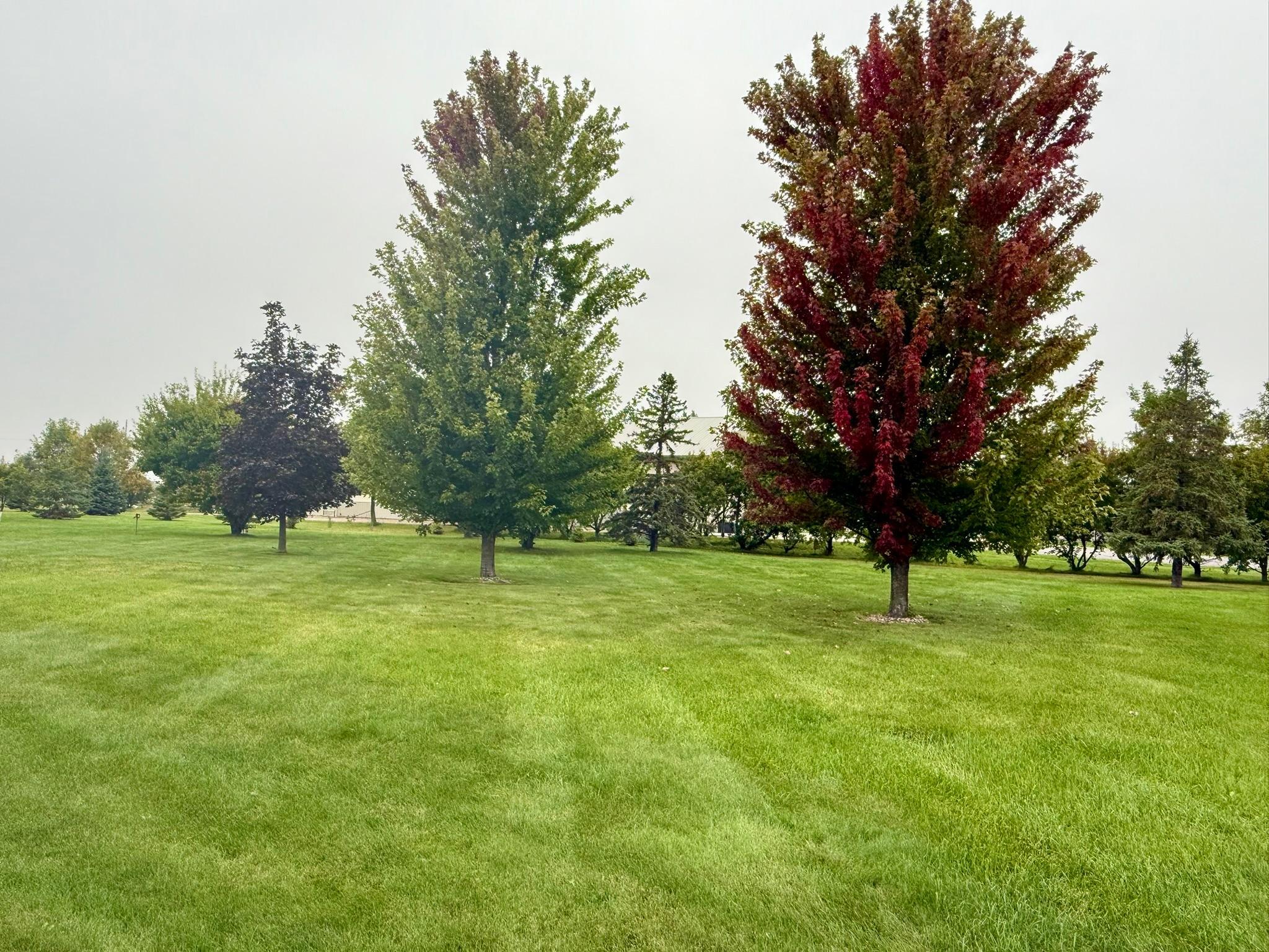 Very large back yard. (That you can watch someone else mow!)
