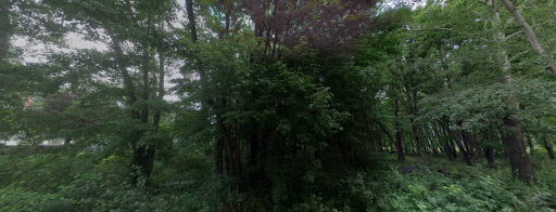 17307 Hiawatha Beach Drive, Ham Lake, MN 55304