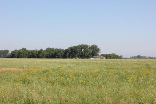 000 25th Street NW, Benson, MN 56215
