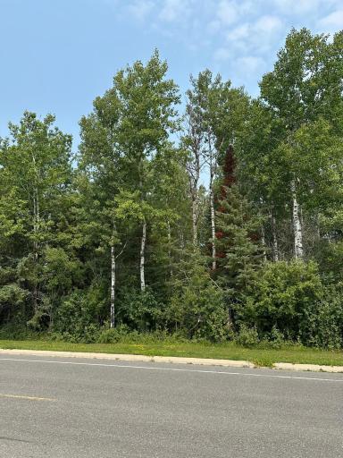 TBD 7 Acres County Road 107, International Falls, MN 56649