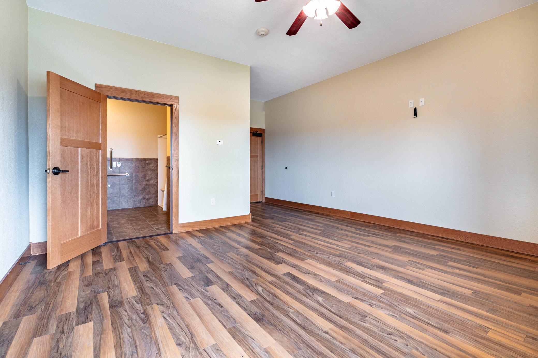 Lower Level Room - vinyl plank flooring