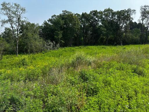 10 Pondview Trail, North Oaks, MN 55127