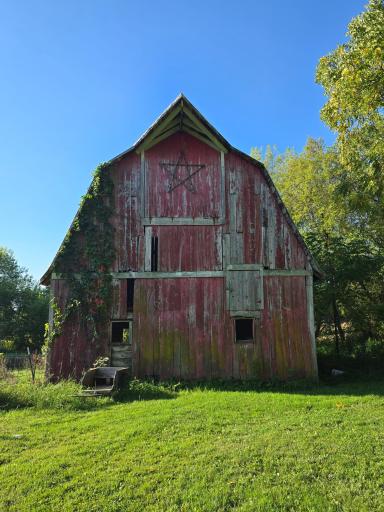 The stately old barn with beautiful ivy growing up the side.