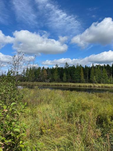 East fork of the Rat Root River