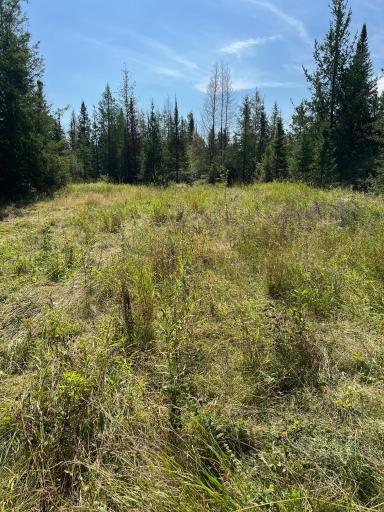 180 acres to enjoy and roam