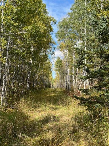 Great trail for wheeling or just a nature hike