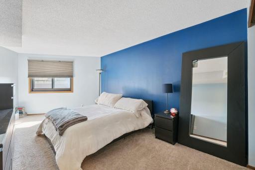 Bedroom has darkout up down shades and a double closet (not shown in this picture).