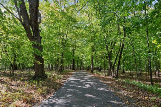 Enjoy a private winding and wooded entry to your home.