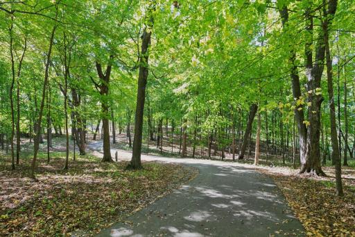 Enjoy a private winding and wooded entry to your home.