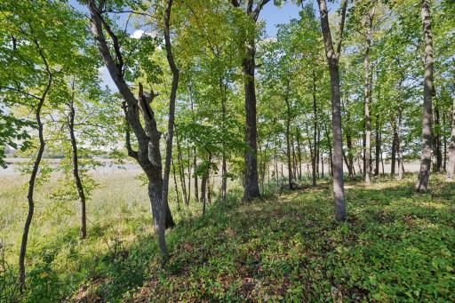 A peaceful escape of privacy and nature.