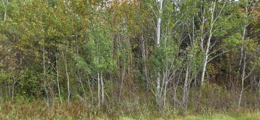 TBD 2nd Avenue E, International Falls, MN 56649