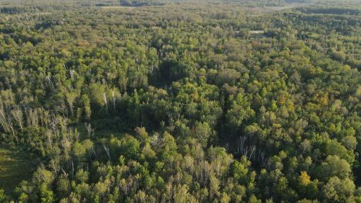 TBD Kestrel Ave., MN 56431