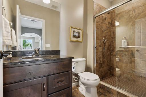 Lower Level Bathroom with walk-in shower.