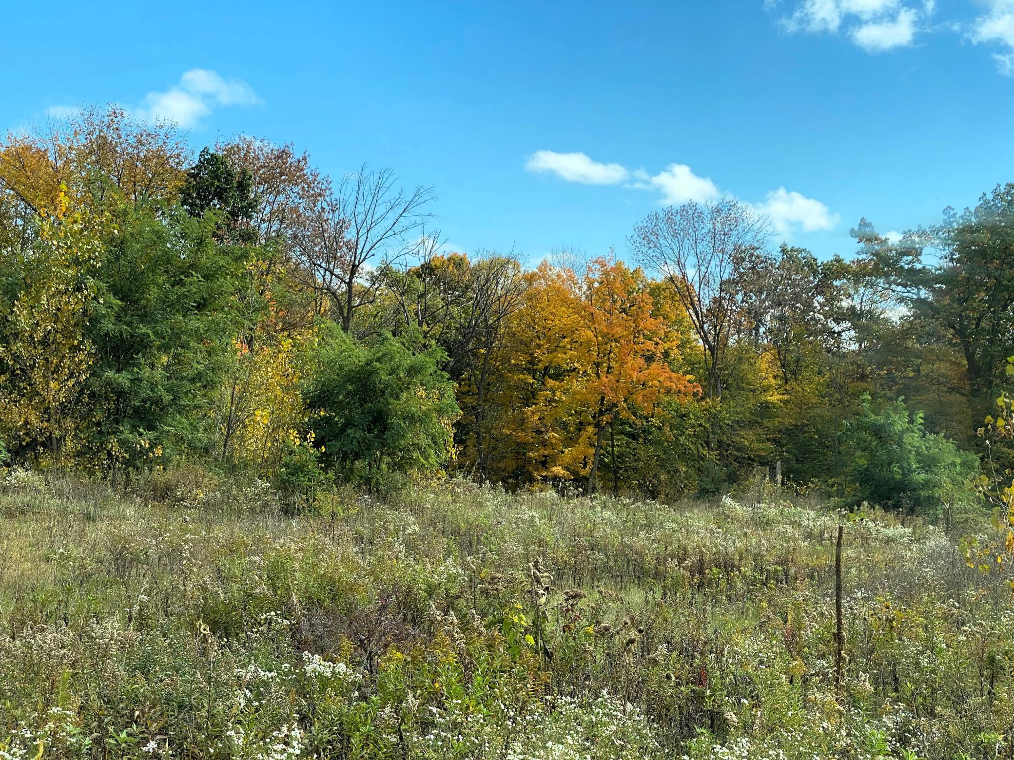 Property photo for 1112 Timber Path, Menomonie, WI 54751