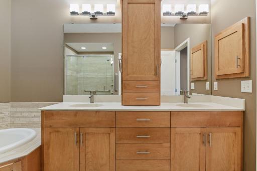 12 Riley Ridge, Chanhassen, MN 55317