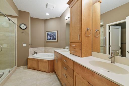 12 Riley Ridge, Chanhassen, MN 55317