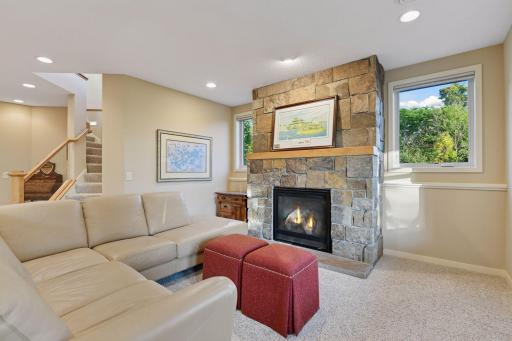 12 Riley Ridge, Chanhassen, MN 55317