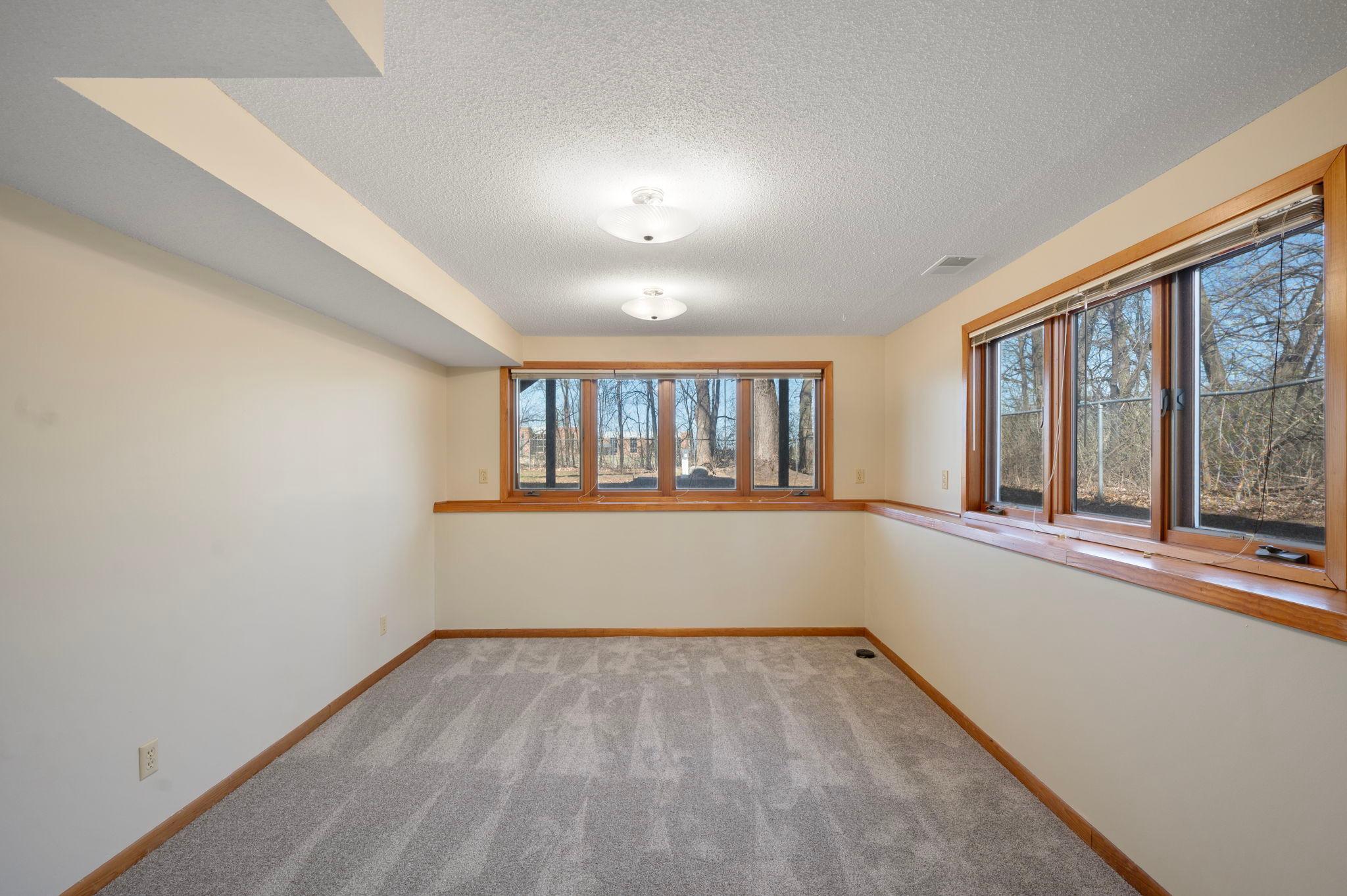 5th bedroom or office in lower level