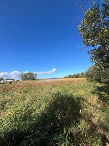TBD E Pine Drive, Angle Inlet, MN 56711