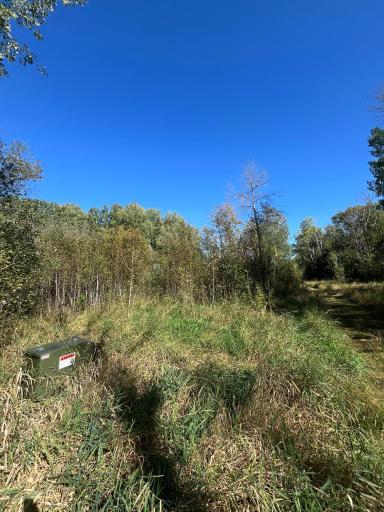 TBD E Pine Drive, Angle Inlet, MN 56711