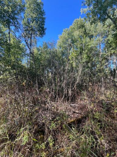 TBD E Pine Drive, Angle Inlet, MN 56711