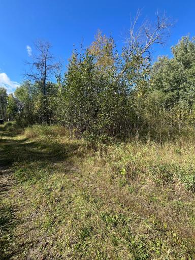 TBD E Pine Drive, Angle Inlet, MN 56711