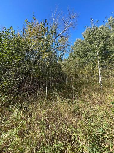 TBD E Pine Drive, Angle Inlet, MN 56711